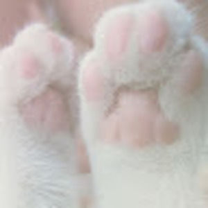 Meet your Posher, Hanna